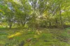 60 Coonoongibber Creek Road, Brooloo QLD 4570-Image