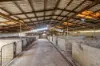 715 Great Ocean Road, Bellbrae VIC 3228-Image