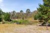 715 Great Ocean Road, Bellbrae VIC 3228-Image