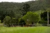 922 Eastern Mary River Road, Cambroon QLD 4552-Image