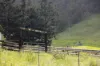 922 Eastern Mary River Road, Cambroon QLD 4552-Image