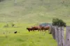 922 Eastern Mary River Road, Cambroon QLD 4552-Image