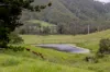 922 Eastern Mary River Road, Cambroon QLD 4552-Image