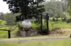 922 Eastern Mary River Road, Cambroon QLD 4552-Image