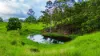 922 Eastern Mary River Road, Cambroon QLD 4552-Image
