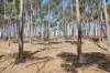 97 Milhinch Road, Carrickalinga SA 5204-Image