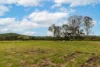 , Belli Park QLD 4562-Image