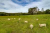 , Belli Park QLD 4562-Image