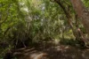 , Belli Park QLD 4562-Image