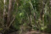 , Belli Park QLD 4562-Image