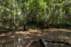 , Belli Park QLD 4562-Image