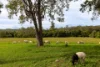 , Belli Park QLD 4562-Image