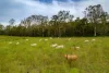 , Belli Park QLD 4562-Image