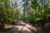 , Bridges QLD 4561-Image