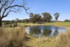 "Sugar Plums"/997 Tyrl Tyrl Road, Golspie, NSW 2580-Image