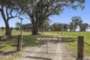 "Sugar Plums"/997 Tyrl Tyrl Road, Golspie, NSW 2580-Image
