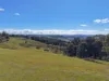 Tea Tree Cabin/935 Duckmaloi Road, Oberon, NSW 2787-Image