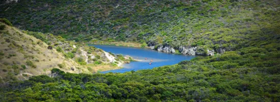 Acton | Belle Property South West - Margaret River - Real Estate Agency