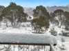 2/Riverside Cabin Diggings Terrace, Thredbo, NSW 2625-Image