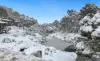 2/Riverside Cabin Diggings Terrace, Thredbo, NSW 2625-Image