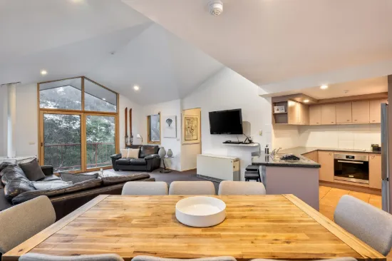 4/10 Lhotsky Diggings Terrace, Thredbo, NSW 2625