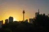 1/1 Grantham Street, Potts Point, NSW 2011-Image