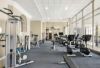 1/10 Pyrmont Bridge Road, Camperdown NSW 2050-Image