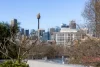 1/108 Miller Street, Pyrmont, NSW 2009-Image