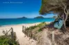 1/11 Ondine Close, Nelson Bay, NSW 2315-Image