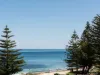 1/110 Marine Parade, Cottesloe, WA 6011-Image