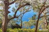 1/12 Thurlow Avenue, Nelson Bay, NSW 2315-Image