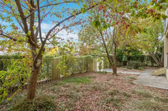 1/13 Burra Place, Braddon, ACT 2612