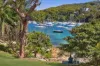 1/15a Eustace Street, Manly, NSW 2095-Image