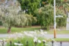1/16 Kings Park Road, West Perth, WA 6005-Image