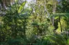 1/18 Small Street, Woollahra, NSW 2025-Image