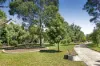 1/19 Shakespeare Grove, St Kilda, Vic 3182-Image