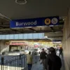 1/2-4 RUSSELL STREET, Strathfield, NSW 2135-Image