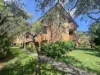 1/21-23 Fifth Avenue, Campsie NSW 2194-Image