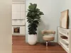 1 / 235 Darlinghurst Road, Darlinghurst, NSW 2010-Image