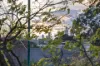 1/24 Mathoura Road, Toorak, Vic 3142-Image
