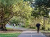 1/245 Main Street, Kangaroo Point, Qld 4169-Image