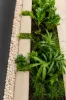 1/25 Bigge Street, Liverpool, NSW 2170-Image