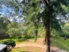 1/25 River Street, Richmond, Vic 3121-Image