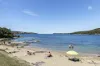 1/28 Lauderdale Avenue, Fairlight, NSW 2094-Image