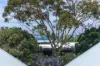 1-3/19 Ben Boyd Road, Neutral Bay, NSW 2089-Image