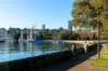 1/4 Holdsworth Avenue, Elizabeth Bay, NSW 2011-Image