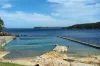 1/40 Lauderdale Avenue, Fairlight, NSW 2094-Image