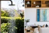 1/403, Clovelly NSW 2031-Image