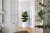 1/45 Union Street, McMahons Point, NSW 2060-Image