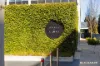 1/5 Sydney Avenue, Barton, ACT 2600-Image